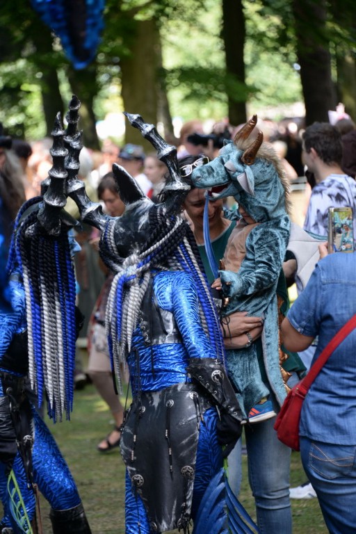 ../Images/Castlefest 2017 zondag 037.jpg